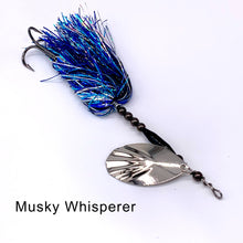 Load image into Gallery viewer, Flashy Tail 60